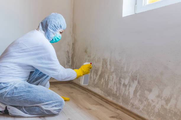 Licensed Mold Inspection service in Thompsontown, PA - WQB Mold Removal